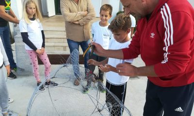 Tate za pet Riba Goby