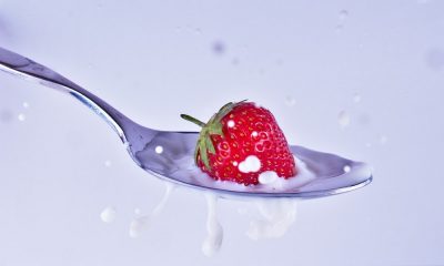 OŠ Vladimir Nazor prehrana