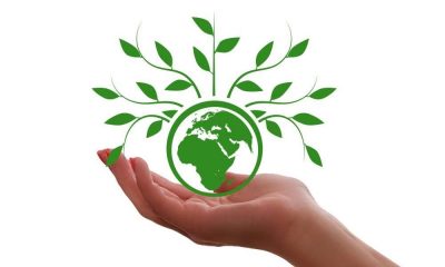 Poljoprivreda savjetovanje