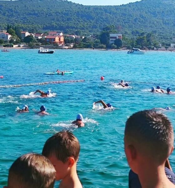 Pašmanski dupin